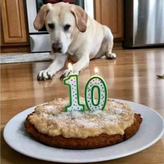 birthday party