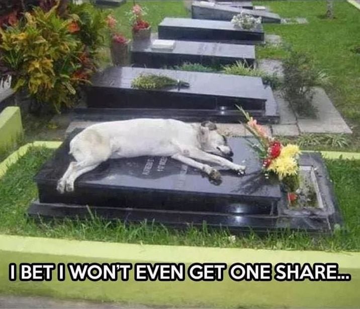 Goodbye