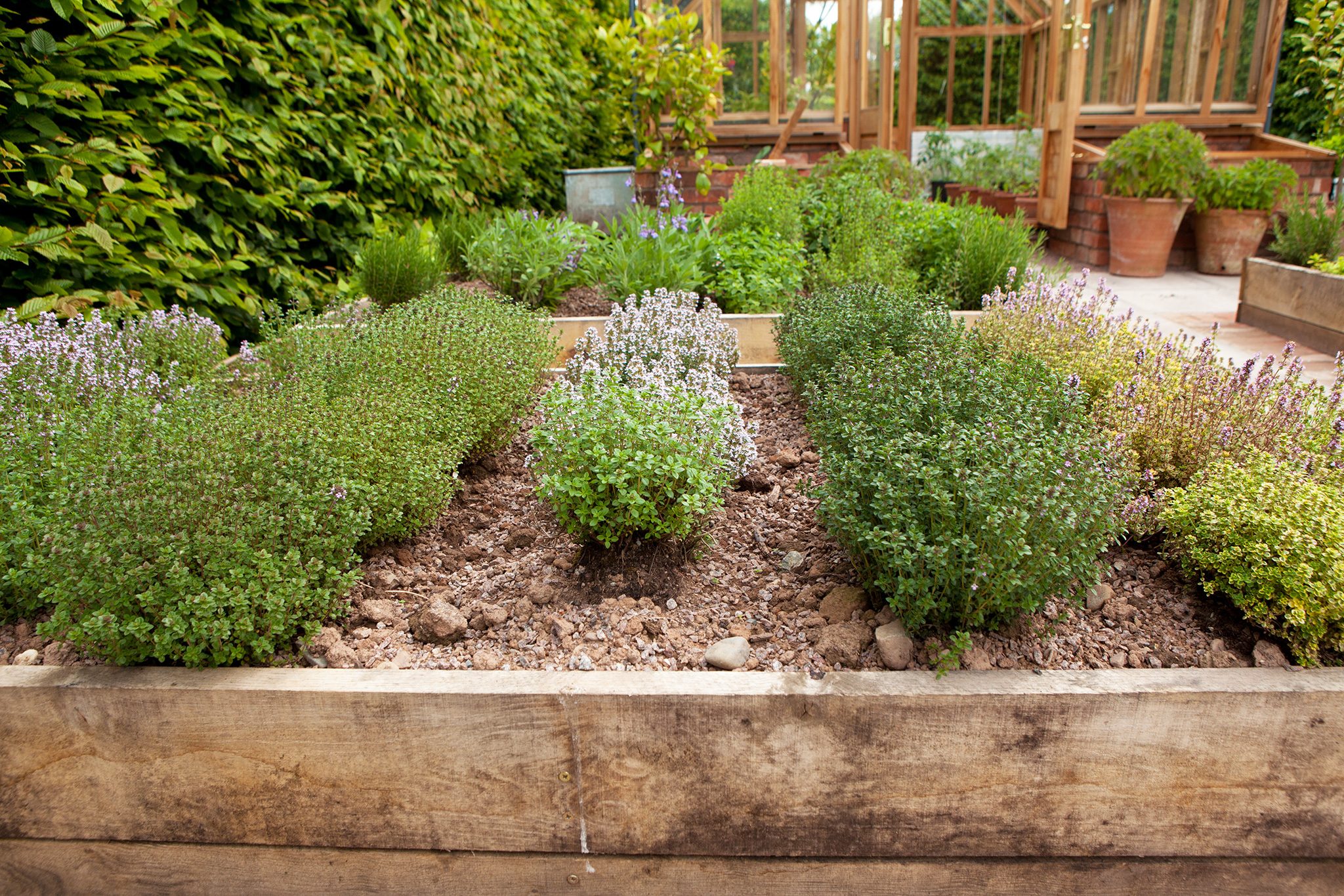 Herb Garden