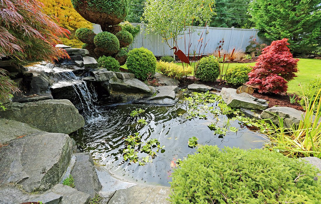 water garden