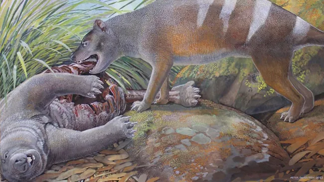 tasmanian tiger