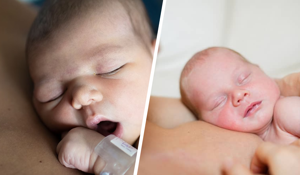 Newborn
