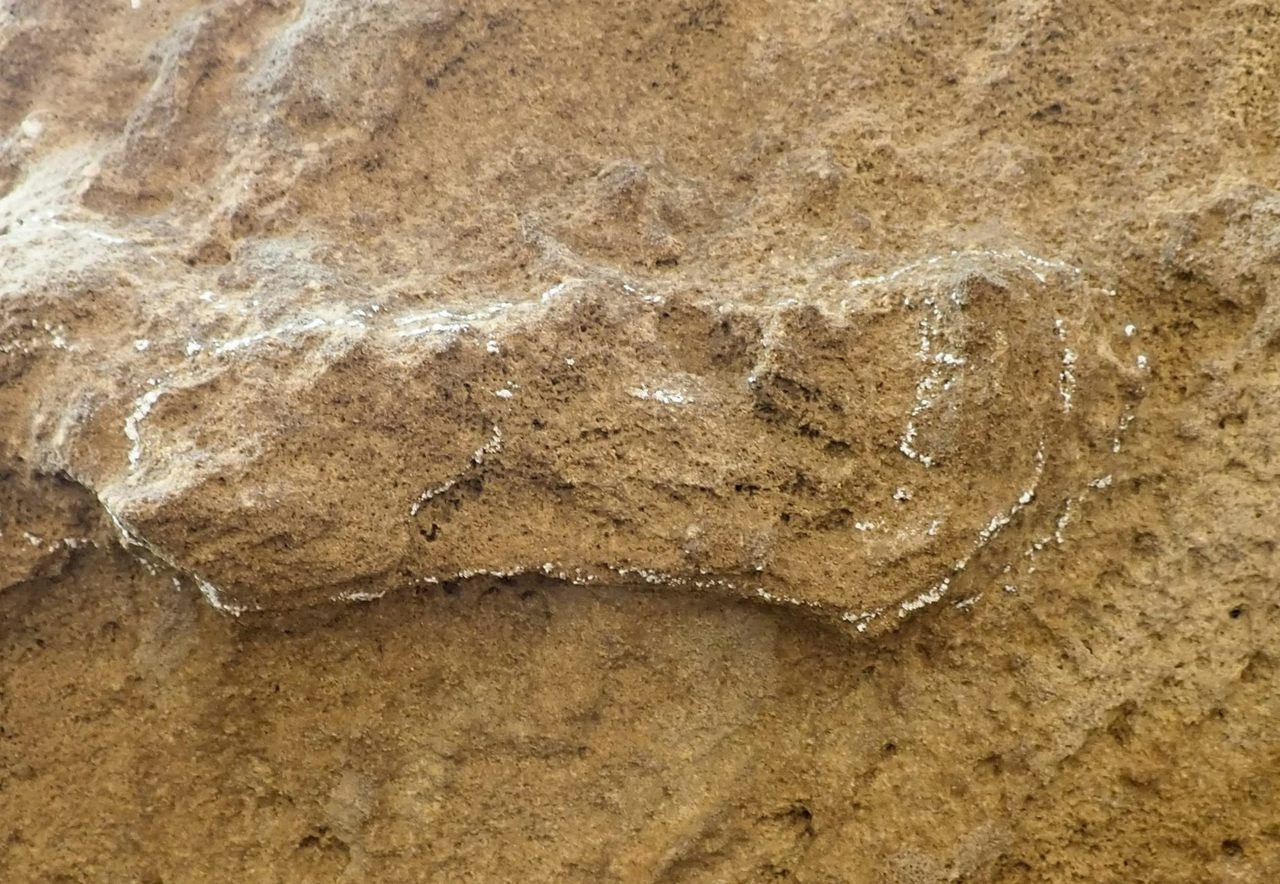 oldest human footprint