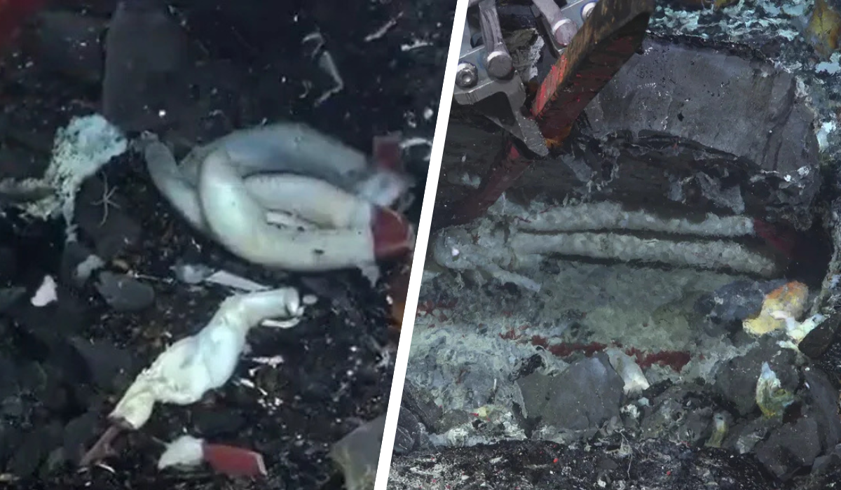 hydrothermal-vents-thumb.png